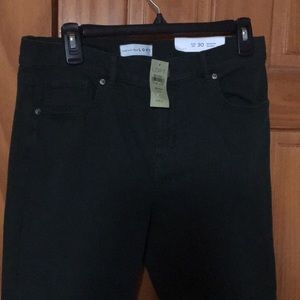 NWT loft dark green jeans